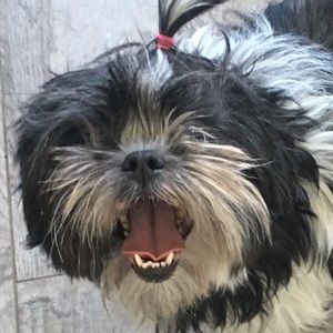 Meet your Posher, Keely